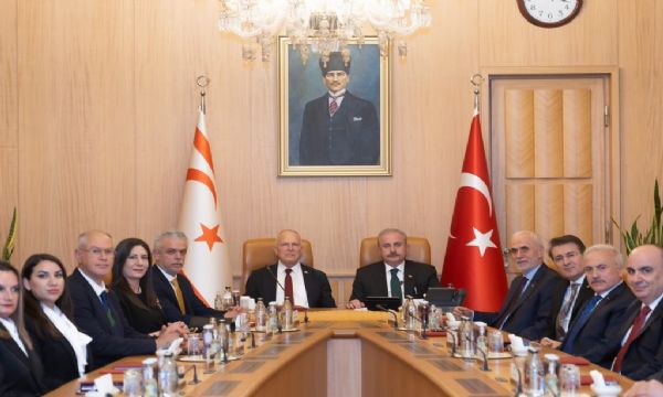 Türk Dünyası Tek yürek