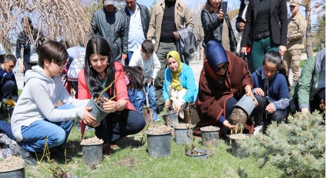 120 kahraman çocuk anısına 120 gül fidanı