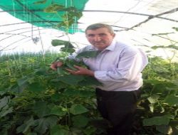 Pasinler’de ilk hasat