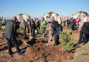 ‘Bir Kan Bir Fidan’