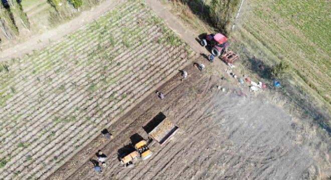2027 üretim yılı ÇKS başvuruları devam ediyor