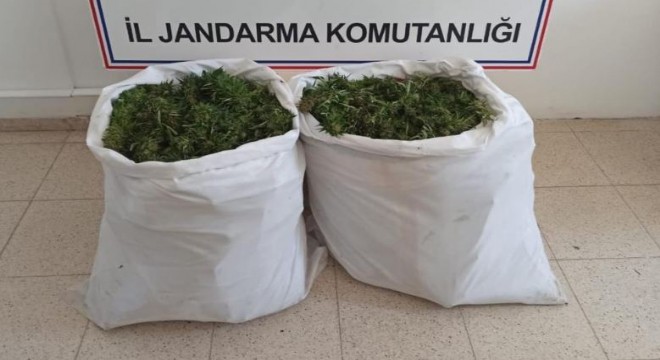 23 kilo skunk ele geçirildi