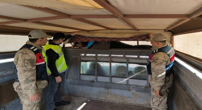 28 düzensiz göçmen yakalandı