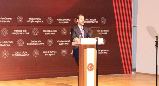 Albayrak:  Türkiye zorlu süreci geride bıraktı 