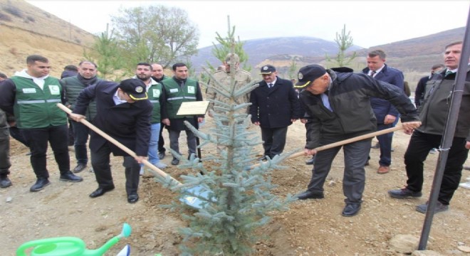 Bayburt – Erzurum yolu ağaçlandırıldı