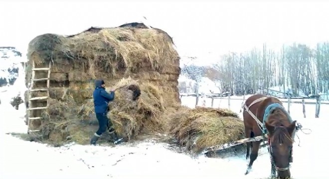 Besicilerin zorlu mesaisi başladı