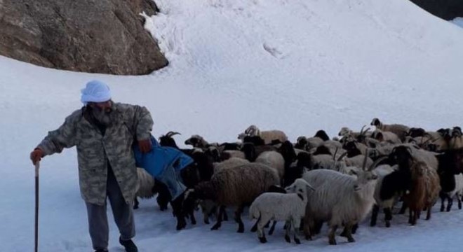 Besicilerin zorlu yayla yolculuğu başladı