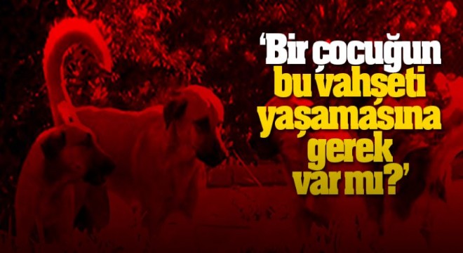 Bir çocuğun bu vahşeti yaşamasına gerek var mı?