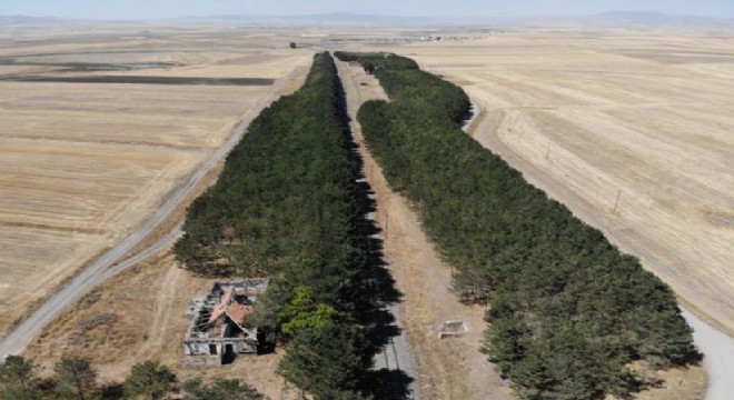 Bozkırın ortasındaki ‘vaha’ büyülüyor