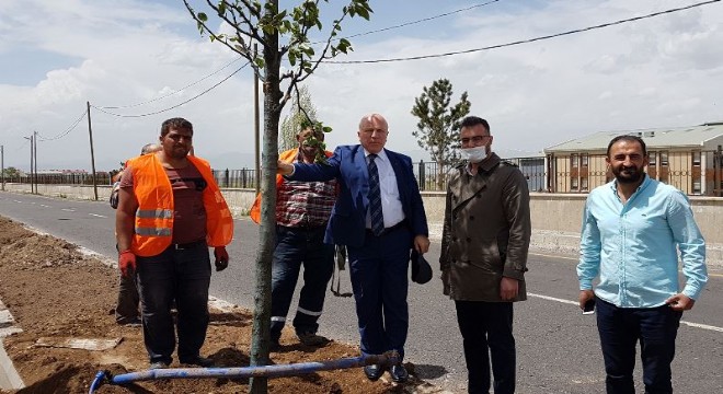 Büyükşehir’den Erzurum’a yemyeşil yatırım