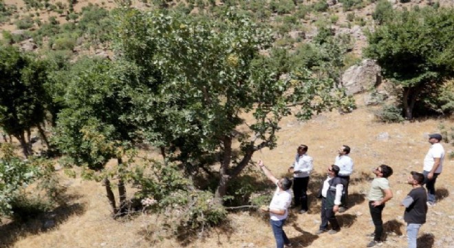 DAP BKİ destekledi Çatak’ın geleceği değişti