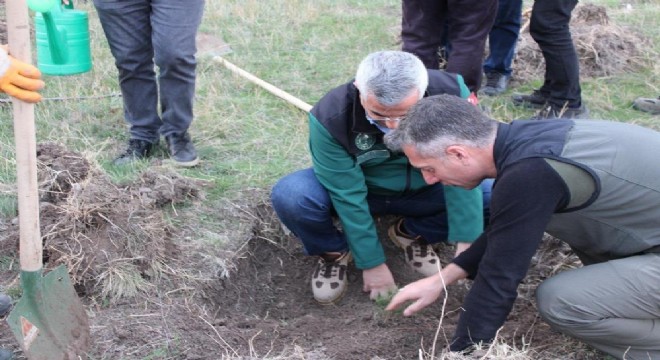 DSİ ve OBM'den ‘Yeşil Vatan’ için güç birliği