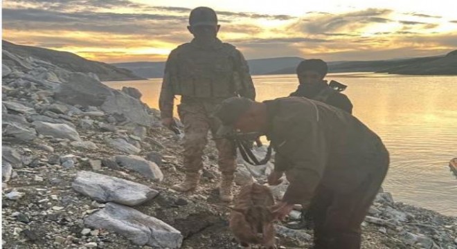 Dağları teröristlere dar ettiler