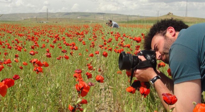 Doğa fotoğrafçıları görüntü almak için yarıştı