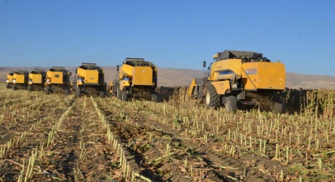 Doğu Anadolu Bölgesi Ovalarından bereket taşıyor