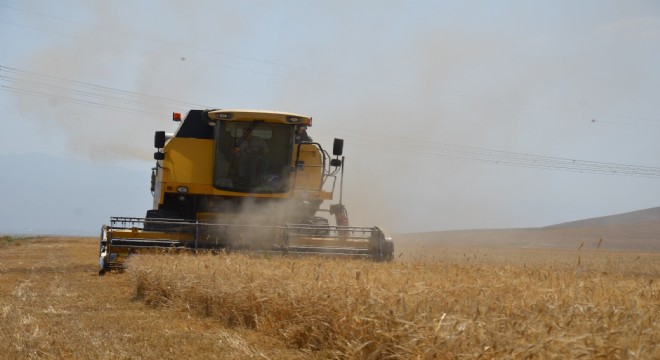 Doğu Anadolu Ovalarında bereket hakim