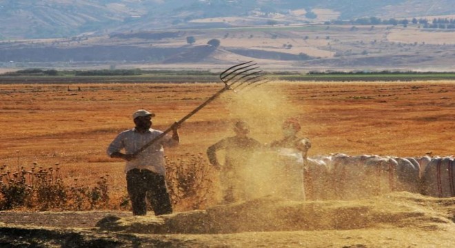 Doğu Anadolu’da Harman Vakti