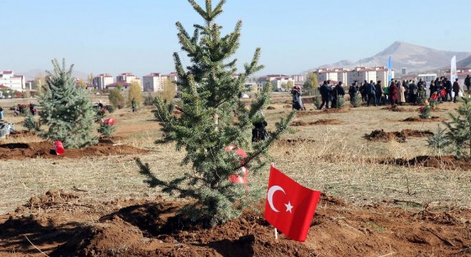 Doğu Anadolu’da fidan dikme seferberliği