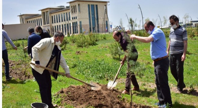 ETÜ’de yeni fidanlar can buldu