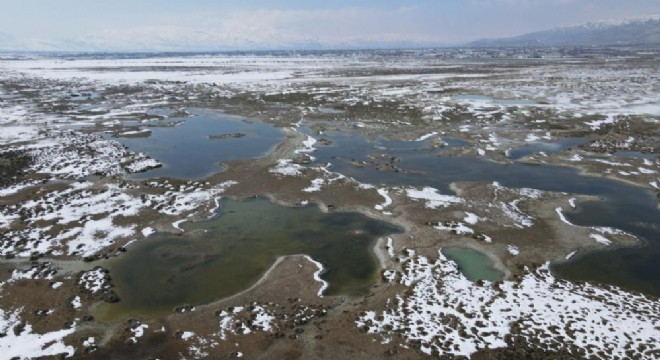 Ekşisu da ender rastlanan doğa oluşumu