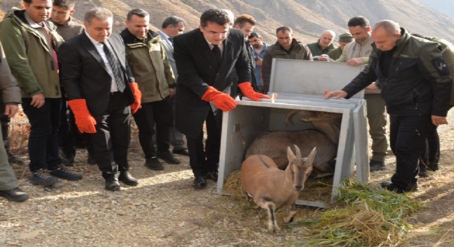 Erzurum DKMP’den doğal yaşama destek