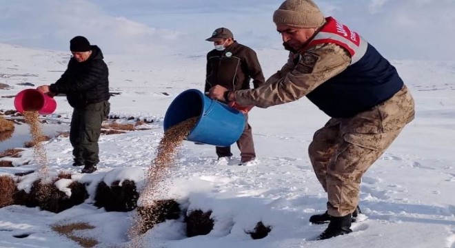 Erzurum DKMP’den yaban yaşamına destek