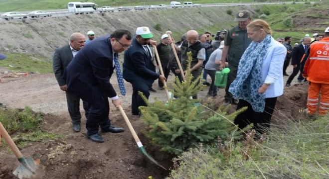 Erzurum da 105 bin fidan toprakla buluştu