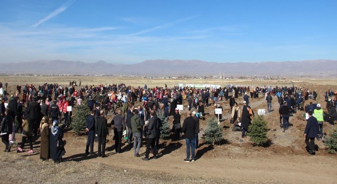 Erzurum’da 12 bin fidan toprakla buluştu