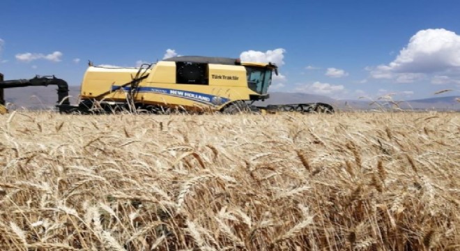 Erzurum’da beklenen hasat 300 bin ton