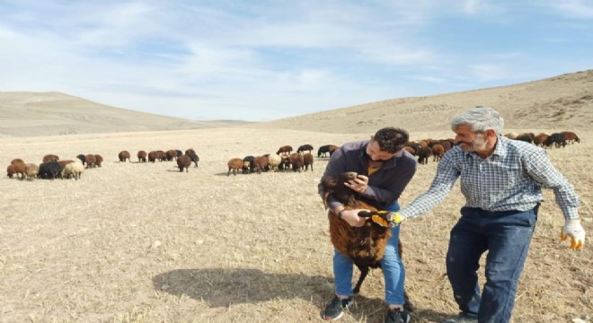 Erzurum’da besiciliğe destek