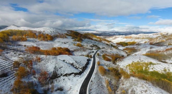 Erzurum ormanlarında görsel şölen