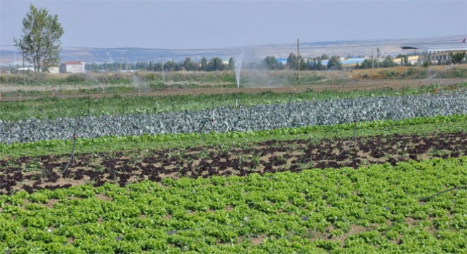 Erzurum tarımsal kredide 2’inci sıraya indi