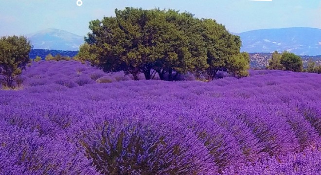 Gelecek Turizmde Başvuru Tarihi Uzatıldı