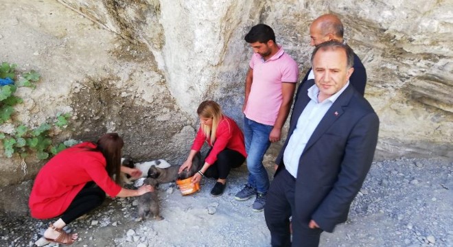 Hayvanlara kötü davranan belediyeciye adli işlem