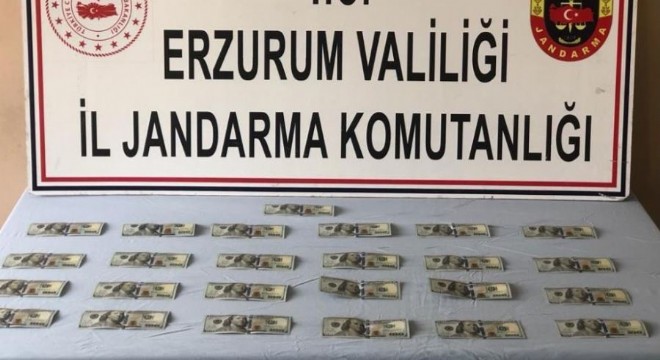 Horasan yolunda sahte dolar operasyonu