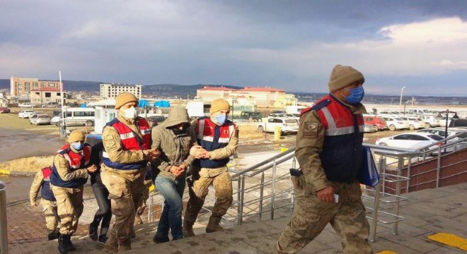 JASAT timleri hayvan hırsızlığı çetesini çökertti