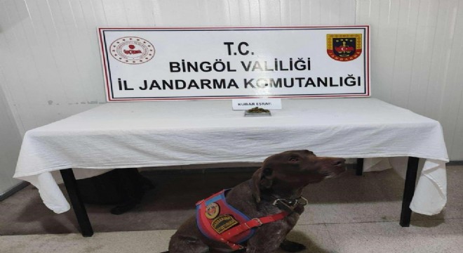 Jandarma’dan uyuşturucu operasyonu