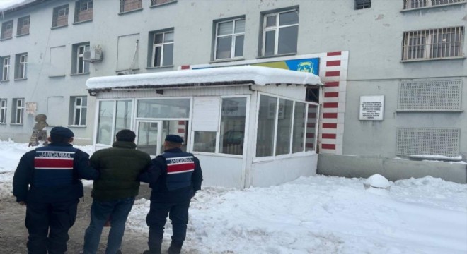 Jandarmadan uyuşturucu operasyonu