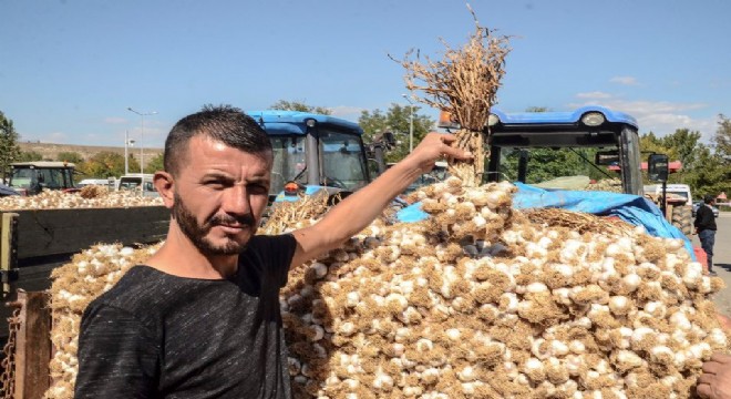 KUDAKA bölgesinde havuç ucuzladı, sarımsak tavan yaptı