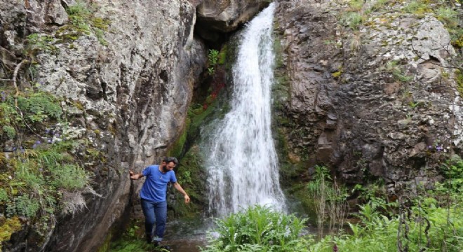 Karnavas şelalesi Doğa turizminin adresi