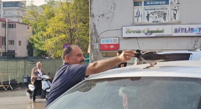 Kasap ile karga arasında sıra dışı dostluk