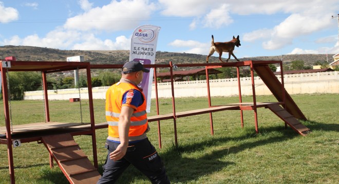 Köpekli Arama Timleri AFAD sınavından geçiyor