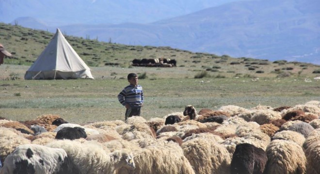 ‘Köyümde Yaşamak İçin Bir Sürü Nedenim Var’