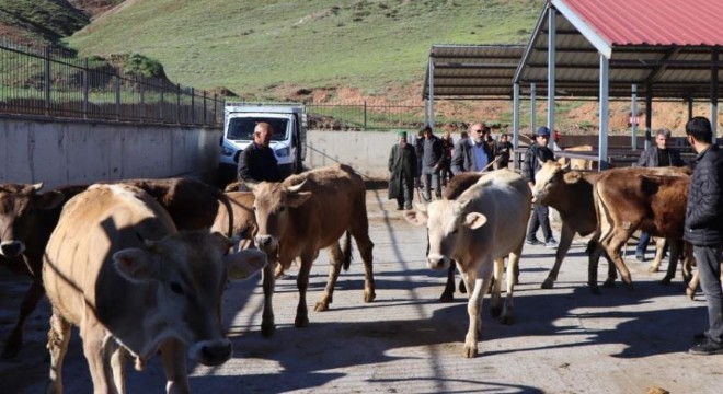 Kurbanlık satış dönemi başladı