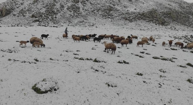 Mayıs ayında yağan kar besicileri vurdu