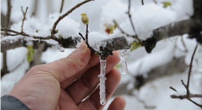 Meteoroloji ‘den Erzurum için zirai don uyarısı