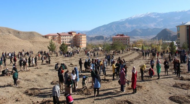 Oltu’da 11 bin 11 fidan toprakla buluşturuldu