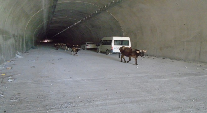 Ovit in siftahını Onlar yaptı