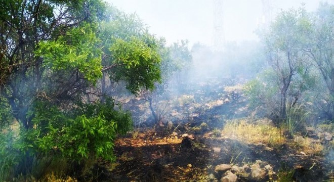 Pasinler Hasandede Bademlik’te yangın