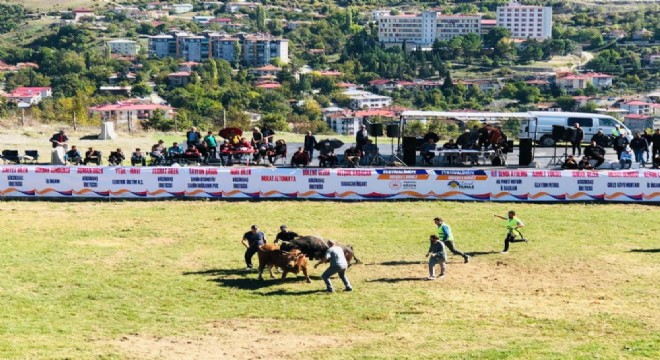 Şap nedeniyle ertelenmişti